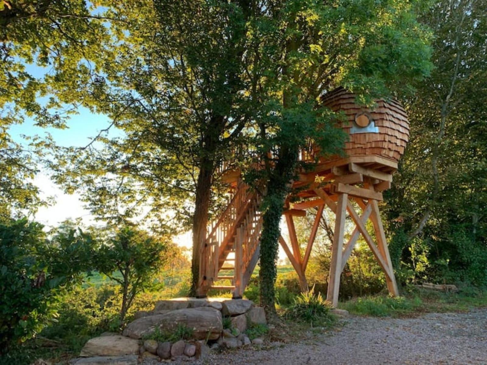 La Ville Es Renais - Ferme Et Maison D'Hotes Insolite 에르퀴 외부 사진